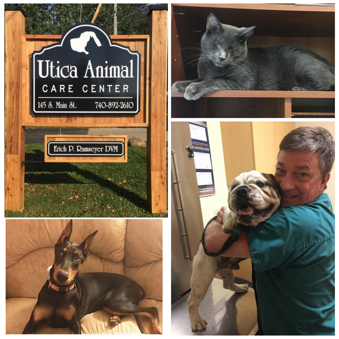 Utica Animal Care Center Collage.